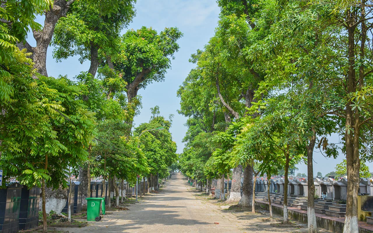 NGHĨA TRANG YÊN KỲ - Album 7