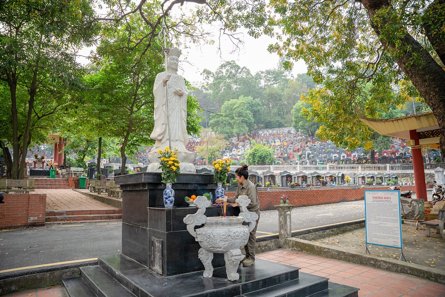 NGHĨA TRANG THANH TƯỚC - Album 11