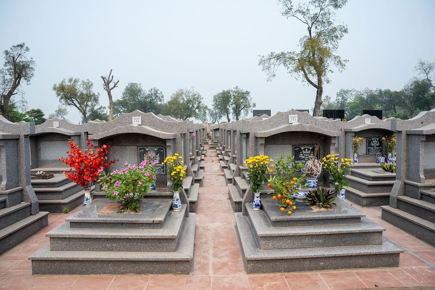LƯU TRO VÀ TIỂU CỐT DƯỚI MẶT ĐẤT - Ảnh 8