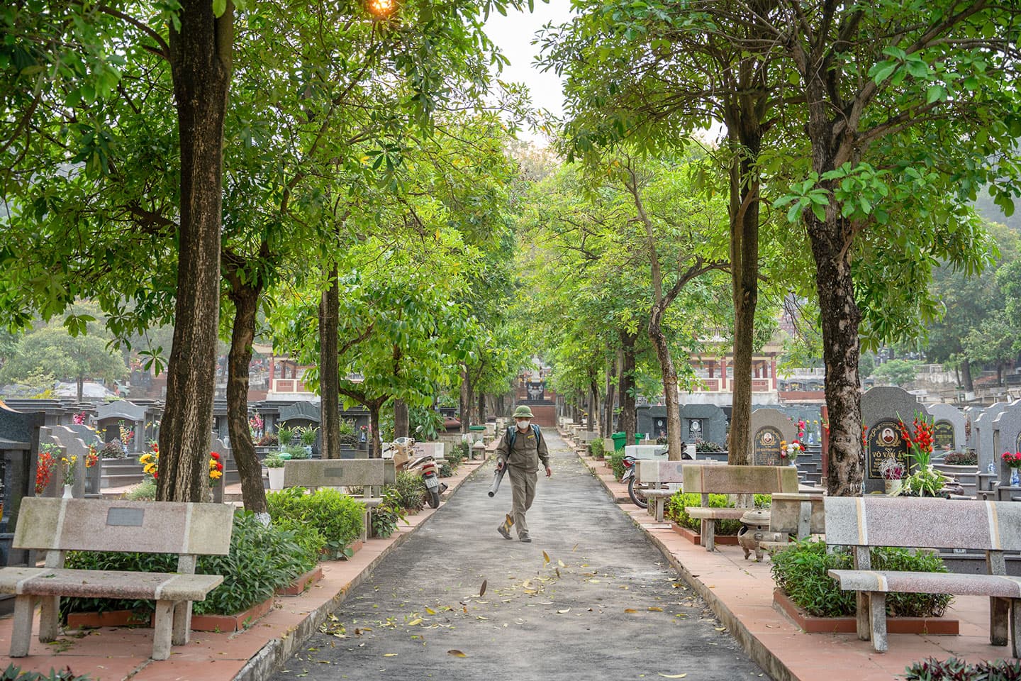CHĂM SÓC MỘ - Ảnh 1