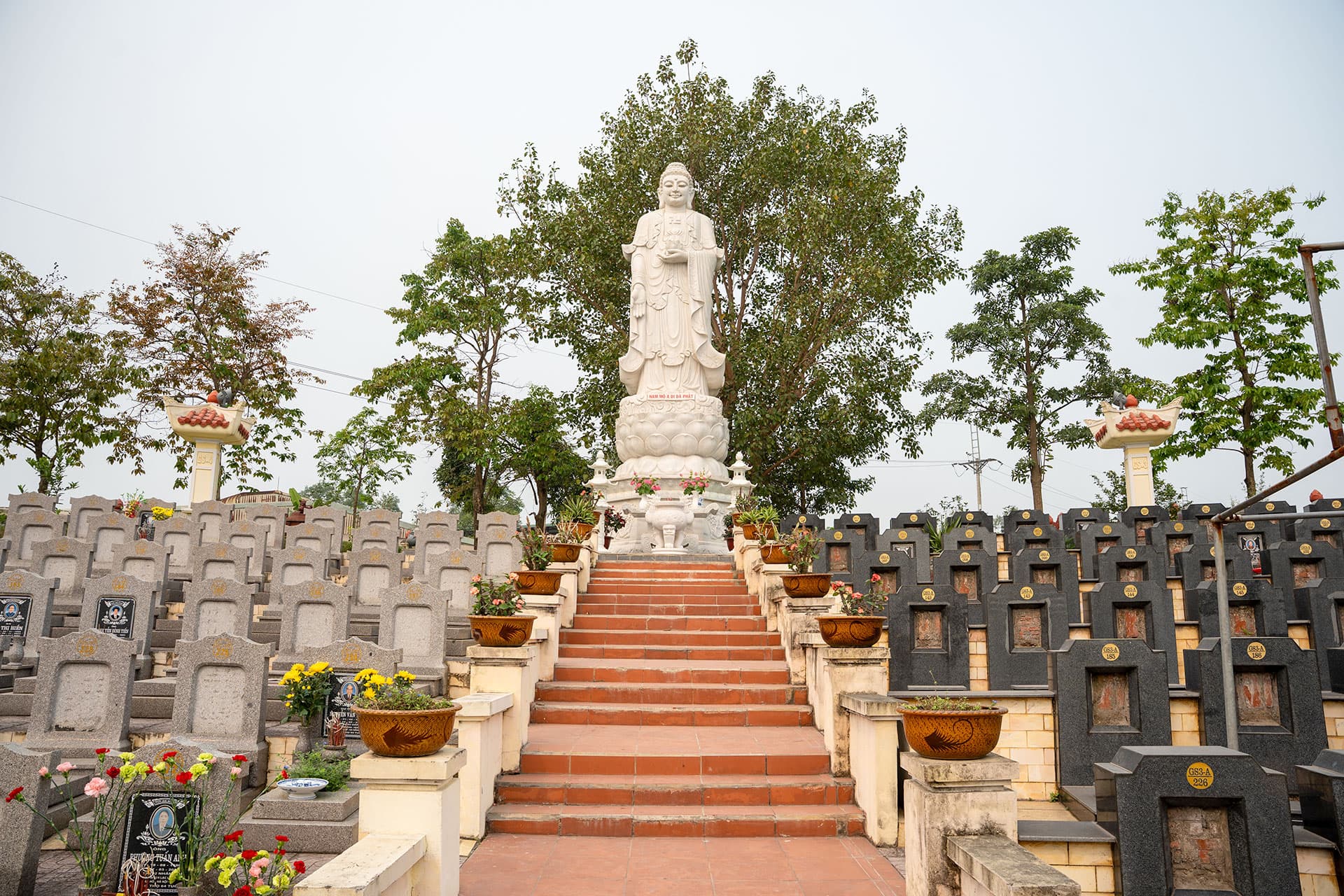 KHU MỘ GIẢ SƠN VĂN ĐIỂN