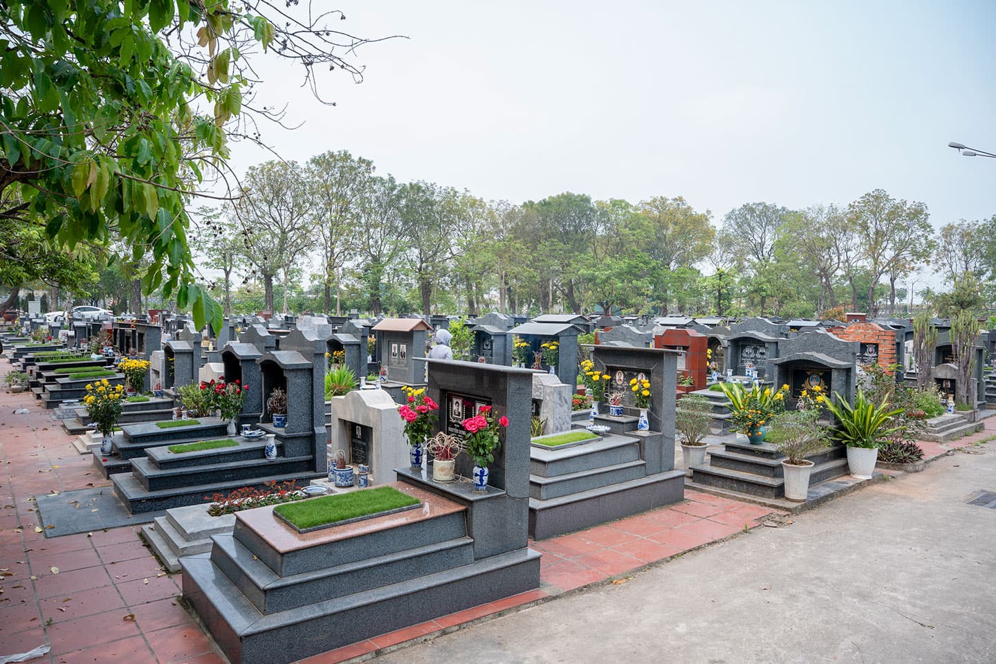 MAI TÁNG VÀ CẢI TÁNG - Ảnh 2