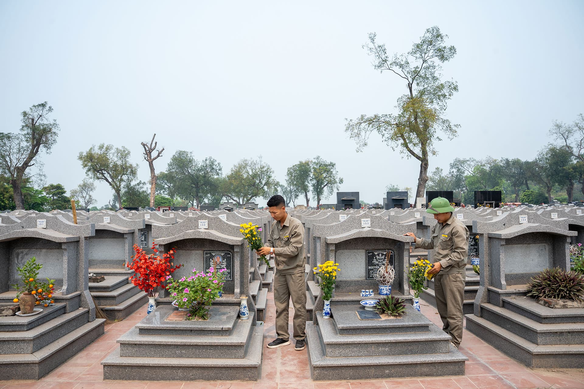 CHĂM SÓC MỘ - Ảnh 5